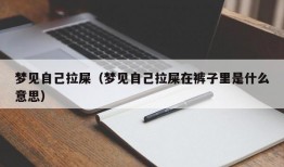 梦见自己拉屎（梦见自己拉屎在裤子里是什么意思）