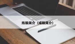 陈毅简介（成毅简介）