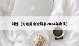 刘姓（刘姓男宝宝取名2024年出生）