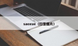 saoxue（扫雪图片）