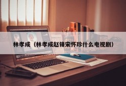 林孝成（林孝成赵锋宋怀珍什么电视剧）