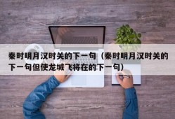 秦时明月汉时关的下一句（秦时明月汉时关的下一句但使龙城飞将在的下一句）