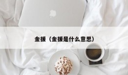 金援（金援是什么意思）