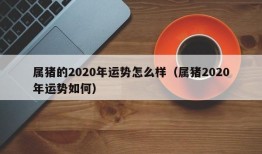 属猪的2020年运势怎么样（属猪2020年运势如何）