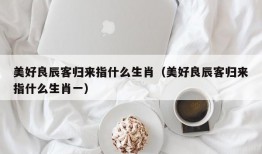 美好良辰客归来指什么生肖（美好良辰客归来指什么生肖一）