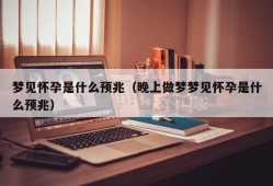 梦见怀孕是什么预兆（晚上做梦梦见怀孕是什么预兆）