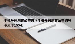 手机号码测吉凶查询（手机号码测吉凶查询号令天下1994）