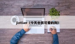 jintian（今天也很可爱的狗）