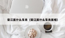 宋江属什么生肖（宋江属什么生肖属相）