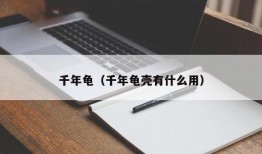 千年龟（千年龟壳有什么用）