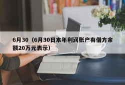 6月30（6月30日本年利润账户有借方余额20万元表示）