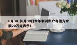 6月30（6月30日本年利润账户有借方余额20万元表示）