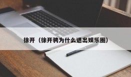 徐开（徐开骋为什么退出娱乐圈）