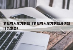 梦见有人拿刀刺我（梦见有人拿刀刺我没伤到什么意思）