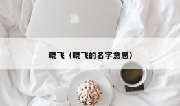 晓飞（晓飞的名字意思）