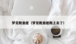 梦见爬悬崖（梦见爬悬崖爬上去了）