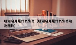 明湖晓月是什么生肖（明湖晓月是什么生肖动物图片）