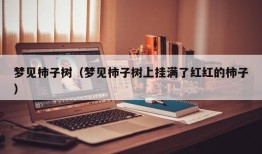 梦见柿子树（梦见柿子树上挂满了红红的柿子）