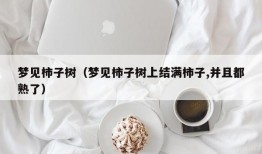 梦见柿子树（梦见柿子树上结满柿子,并且都熟了）