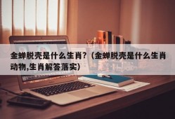 金蝉脱壳是什么生肖?（金蝉脱壳是什么生肖动物,生肖解答落实）