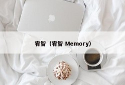 宥智（宥智 Memory）