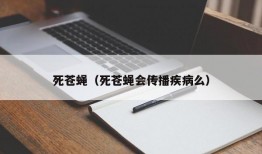 死苍蝇（死苍蝇会传播疾病么）