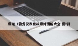 霸龙（霸龙仪表盘故障灯图解大全 图标）