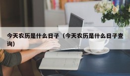 今天农历是什么日子（今天农历是什么日子查询）