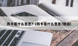 苏卡是什么意思?（苏卡是什么意思?俄语）