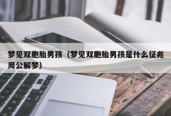 梦见双胞胎男孩（梦见双胞胎男孩是什么征兆周公解梦）