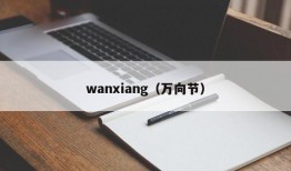 wanxiang（万向节）