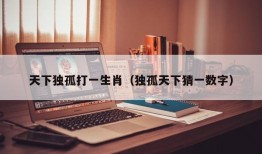 天下独孤打一生肖（独孤天下猜一数字）