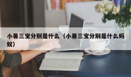 小暑三宝分别是什么（小暑三宝分别是什么蚂蚁）