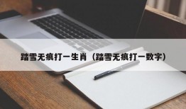 踏雪无痕打一生肖（踏雪无痕打一数字）