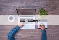 锐起（锐起RDV）