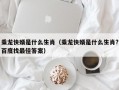 乘龙快婿是什么生肖（乘龙快婿是什么生肖?百度找最佳答案）