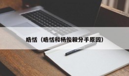 皓恬（皓恬和杨俊毅分手原因）