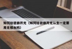 如何给貔貅开光（如何给貔貅开光认主一定要用无根水吗）