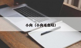 小向（小向毛血旺）