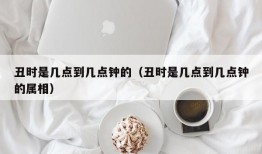 丑时是几点到几点钟的（丑时是几点到几点钟的属相）